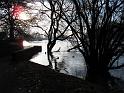 2011-01-17, Pillnitz (17)